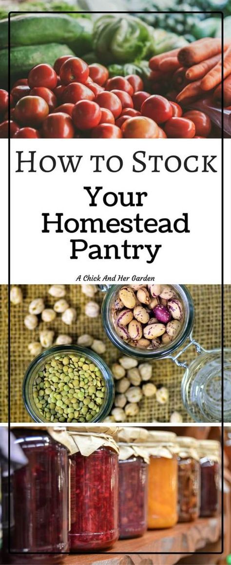 Make A Pantry, Homestead Pantry, Beautiful Pantry, Homestead Kitchen, Homesteading Diy, Homesteading Skills, Homestead Living, Urban Homesteading, Living Off The Land