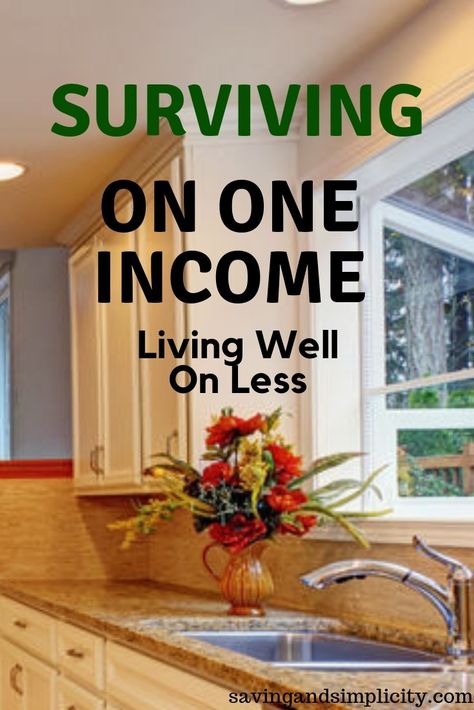 Frugal living, surviving on one income. It can be done. Learn 75 frugal living tips to help you succeed and thrive in a single income household. Frugal Habits, Saving Money Frugal Living, Living Single, Household Expenses, Frugal Mom, Money Frugal, Frugal Lifestyle, Living On A Budget, Money Saving Strategies