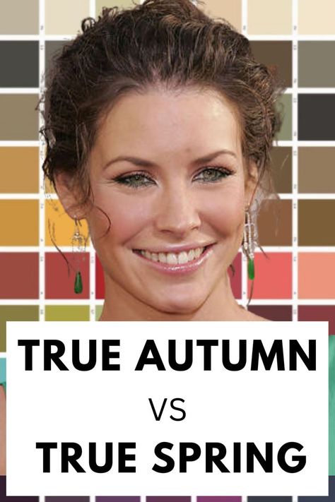 true autumn vs true spring Types Of Autumn Color Palette, Pure Spring Color Palette, Autumn Spring Color Palette, True Spring Red Hair, Bright Spring Vs Dark Autumn, Spring Season Hair Color, Spring And Autumn Color Palettes, Autumn Vs Spring Color Analysis, Seasonal Color Analysis Spring