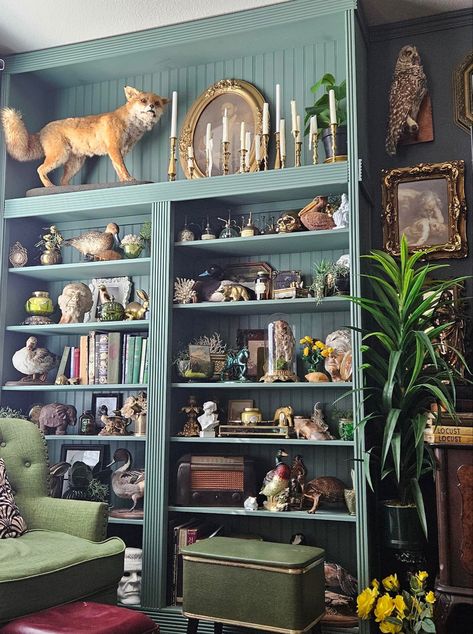 Display Shelves Decor, Oddities Decor, Cabinet Of Curiosity, Moody Decor, Decorating Bookshelves, Welcome To My House, Cabinet Of Curiosities, Victorian Decor, House Inspo