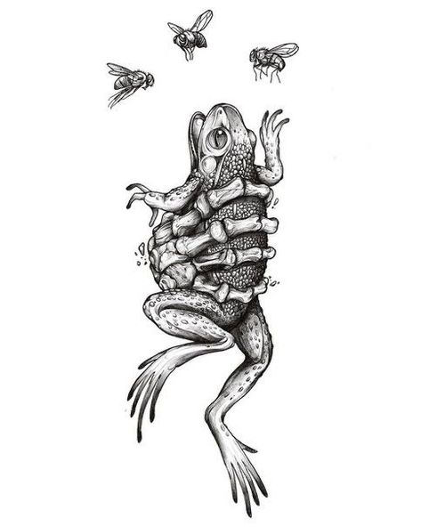 Creepy Bug Tattoo, Frog Tattoo Design, Arte Hippy, Stick Poke Tattoo, Bug Tattoo, Frog Tattoos, Creepy Tattoos, Tattoo Art Drawings, Dark Tattoo