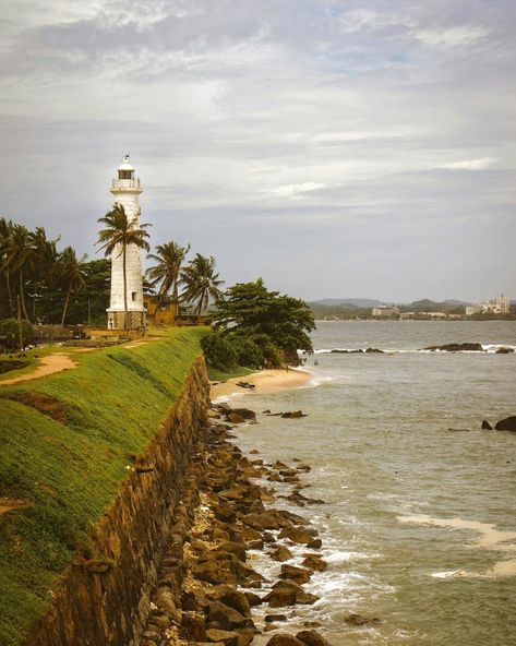 Step back in time as you wander through the historic Galle Fort in Sri Lanka 🏰✨. With its charming cobblestone streets and stunning ocean views, this UNESCO World Heritage site perfectly blends rich history with breathtaking beauty. A must-visit for anyone craving a picturesque escape into the past! https://www.greenholidaytravels.com/galle-fort/ #GalleFort #HistoryMeetsBeauty #TravelSriLanka #greenholiday #TravelSriLanka #familytours #NatureLovers #ExploreSriLanka #travelasia #TravelWith... Galle Fort Sri Lanka, Galle Fort, Cobblestone Streets, Breathtaking Beauty, Ocean Views, Step Back, Unesco World Heritage Site, Unesco World Heritage, Asia Travel