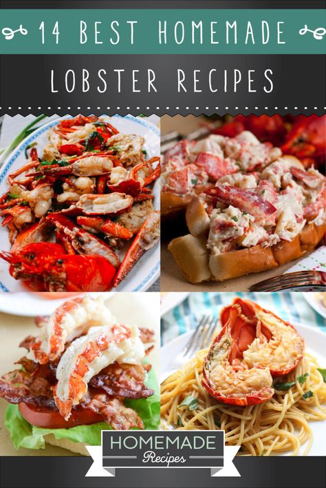 14 Best Homemade Lobster Recipes! This round up is absolutely fantastic! Nice Photo, but it definitely doesn't do these amazing recipes justice!!!! #seafood #lobster #shellfish Full Lobster Recipes, Lobster Appetizer Recipes Holidays, Lobster Burger, How To Cook Live Lobster, Lobster Meals, How To Cook Live Lobster At Home, Poor Man’s Lobster Recipe, Seafood Lobster, Mixed Seafood Recipe