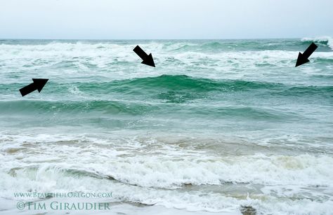 Surf Perch Fishing on Oregon Coast – Beautiful Oregon Salt Water Fishing Rigs, Surf Perch Fishing, Surf Fishing Tips, Oregon Surfing, Surfing In Oregon, Oregon Fishing, Shore Fishing Saltwater, Pesca In Mare, Fishing In Canada