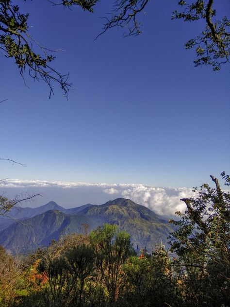 Take a break, take a picture! Lawu Mountain, Nature Green, Himachal Pradesh, Alam Yang Indah, Green Trees, Take A Break, Travel Book, Galaxy Wallpaper, Beautiful Pictures