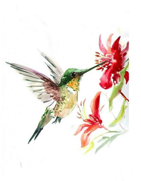 Flower Hummingbird, Hummingbird Watercolor, Watercolor Hummingbird, Hummingbird Painting, Bird Watercolor Paintings, Bird Drawing, Geometric Tattoos, Hummingbird Art, Hummingbird Tattoo