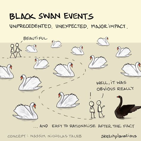 Two people walk through many white swans before bumping into a black swan. One claims it was obvious all along. Hindsight Bias, Mental Models, Black Swan Event, Nassim Nicholas Taleb, Black Swans, Good Leadership Skills, Cognitive Bias, Mental Exercises, States Of Matter