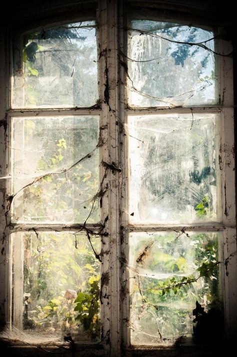 Boarded Up Windows, Cracked Window, Boarding Up Windows, Old Window Shutters, Broken Windows, Shutter Hardware, Window Photography, Window Drawing, Repurposed Art