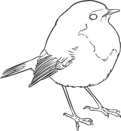 Robin Outline, Bird Line Drawing, Robin Drawing, Bird Sketch, Outline Drawing, Paper Birds, Hand Painted Stones, Outline Drawings, Bird Drawings