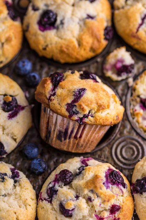 Lemon Blueberry Muffins Recipe, Baker By Nature, Best Blueberry Muffins, Small Batch Baking, Berry Muffins, Simple Muffin Recipe, Lemon Blueberry Muffins, Lemon Poppyseed Muffins, Muffin Recipes Blueberry