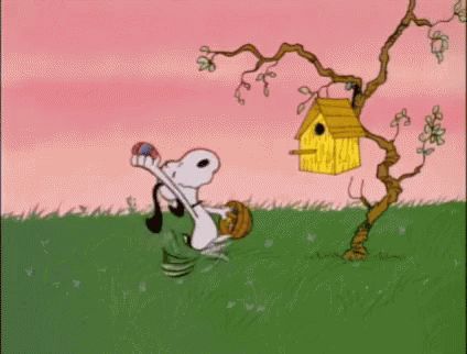 Easter Egg GIF - Easter Egg Snoopy - Discover & Share GIFs Snoopy Video, Easter Beagle Charlie Brown, Happy Easter Gif, Easter Beagle, Snoopy Easter, Woodstock Peanuts, Snoopy Funny, Snoopy Quotes, Easter Images