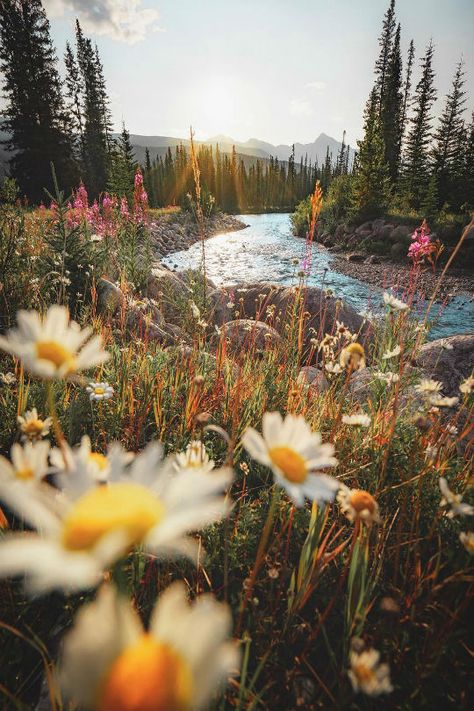 Wallpaper Edgy, Wallpaper Homescreen, Wallpaper Retro, Pretty Landscapes, Wallpaper Vintage, Alam Yang Indah, Nature Aesthetic, Pretty Places, In The Woods