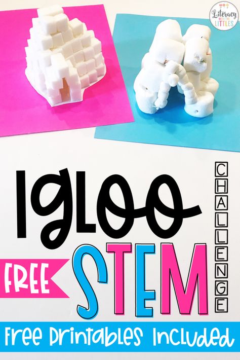 Build an Igloo STEM Activity Build An Igloo Stem Challenge, First Grade Stem Challenges, Stem Igloo, Mandala Tattoo Lotus, Build An Igloo, Winter Stem Challenges, Igloo Building, Winter Stem Activities, Winter Stem