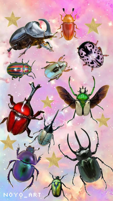 #beetles #noyo #noyo_art Animal Crossing Bugs, Beetle Wallpaper, Summer Youth, Cool Insects, Pink Palace, Beautiful Bugs, Bugs And Insects, Beetles, Animal Crossing