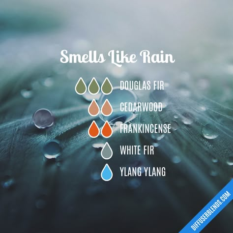 Smells Like Rain — Essential Oil Diffuser Blend Rain Essential Oil Blend, Lilin Aroma, Rainy Evening, Eo Blends, Doterra Diffuser Blends, Essential Oil Combinations, Essential Oils Blends, Essential Oil Diffuser Blends Recipes, Essential Oils Diffuser