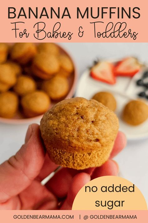 Easy Banana Muffins for Baby (no added sugar) - Golden Bear Mama Muffins For One Year Old, Baby Banana Muffins, Banana Muffins For Baby, Toddler Banana Muffins, Baby Muffins Banana, Blw Banana Oat Muffins, Banana Muffins No Sugar, Banana Muffins Toddler Healthy, Baby Friendly Banana Muffins