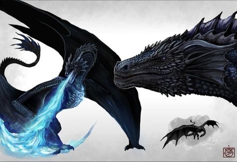 Hotd Dragon Ocs, Black Wyvern, Black And Blue Dragon, Black Dragon Art, Dark Blue Dragon, Targaryen Dragons, Dragon Anatomy, Game Of Thrones Artwork, Dragon Oc