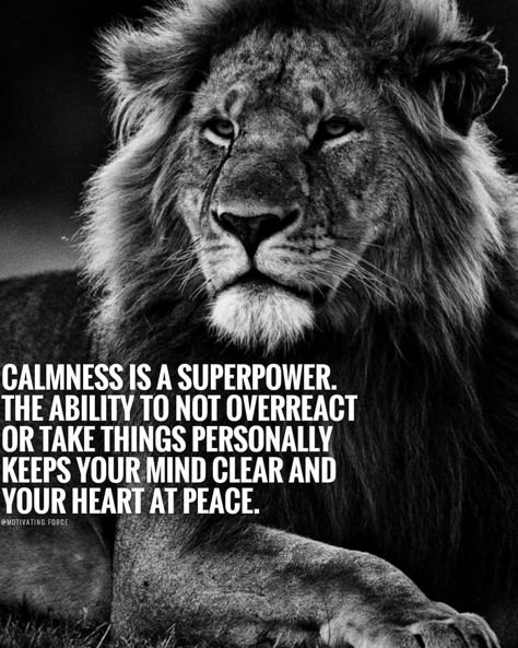 Calmness Is A Super Power Pictures, Photos, and Images for Facebook, Tumblr, Pinterest, and Twitter Calm Is A Super Power, Lioness Quotes, Follow Quotes, Entrepreneur Goals, Inspiration Workout, Leo Quotes, Lion Quotes, Daily Quotes Positive, Fit Lifestyle