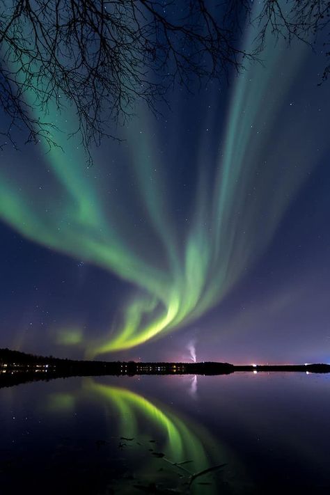 Northern Lights Finland, Finland Culture, Oulu Finland, Europe Country, Northern Lights Viewing, Northern Lights Photography, Northern Lights Norway, Lights Photography, Aurora Australis