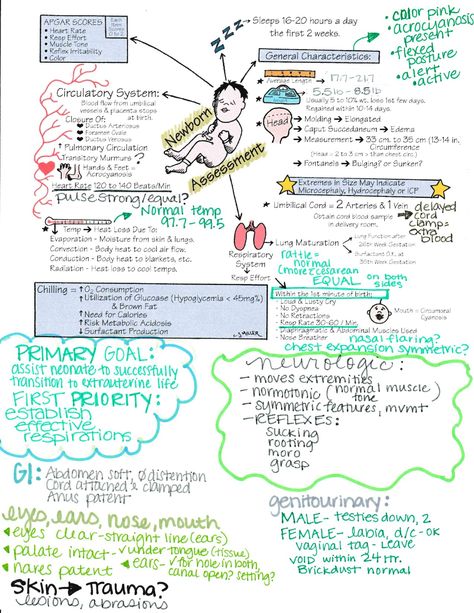 Nicu Nurse Assessment, Neonatal Nurse Notes, Newborn Assessment Nursing, Postpartum Nursing Notes, Nicu Nurse Study Notes, Nicu Nurse Notes, Nicu Nurse Education, Pediatric Nursing Study, Assessment Nursing