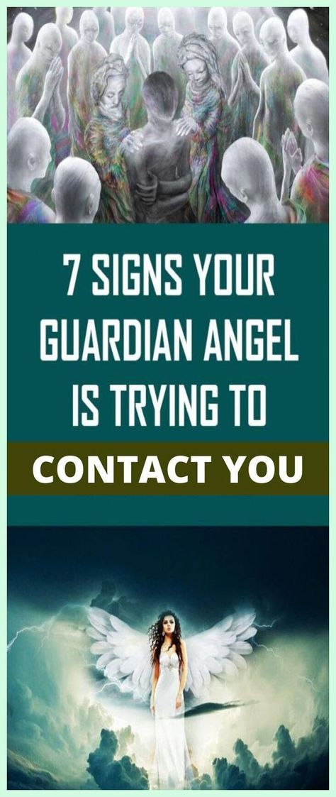 7 Signs Your Guardian Angel Is Trying to Contact You Angel Signs, Channeled Message, Your Guardian Angel, Health Knowledge, After Life, Guardian Angels, Fitness Planner, Natural Living, Guardian Angel