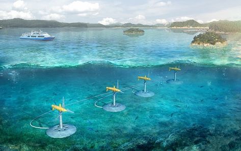 Tidal Power, Tidal Energy, Back To The Gym, Ocean Science, Marine Ecosystem, Plant Projects, Energy Industry, Power Energy, Green Energy