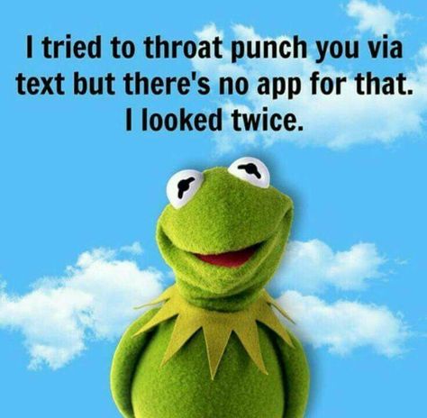 Punch Meme, Funny Kermit Memes, Muppet Characters, Kermit Meme, Frog Quotes, Throat Punch, Kermit Funny, Kermit The Frog, Funny Cartoon Quotes