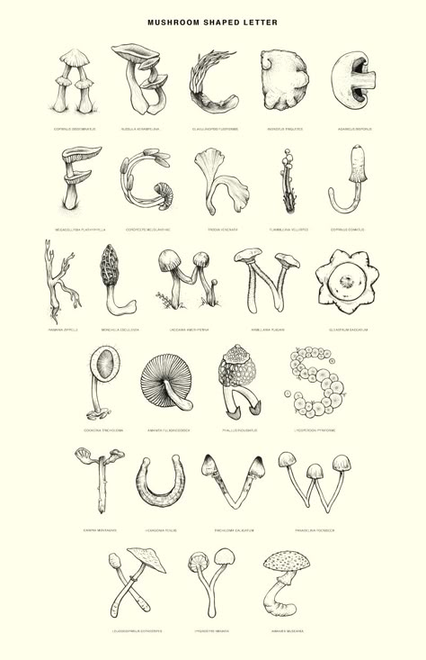 Shape Letters Design, Weird Fonts Alphabet, Fonts For Lettering, How To Design Fonts, Cottagecore Fonts Alphabet, H Drawing Letter, Font Drawing Ideas, Trippy Fonts Alphabet, Mushroom Lettering