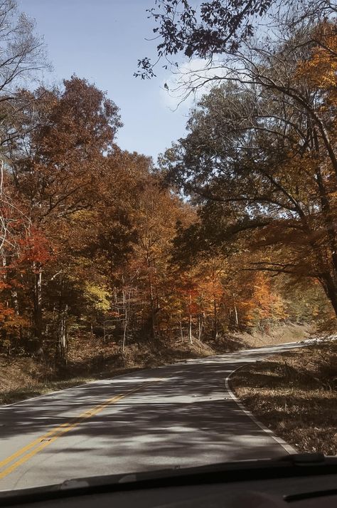 Tennessee Fall ❤️🧡💛🤎 Tennessee Aesthetic, Tennessee Fall, Future Travel, Autumn Aesthetic, Fall Autumn, Tennessee, Vision Board, Travel