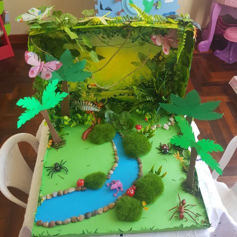 Geography Model, Rainforest Diorama, Diwali Craft For Children, Rainforest Crafts, Rainforest Project, Ideas For Learning, Diorama Kids, Ecosystems Projects, Habitats Projects