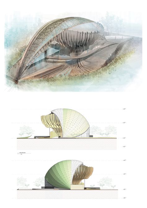 The design of the Azerbaijan pavilion for the Expo 2020 in Dubai alternates complex interactive technology with organic shapes. The architecture evokes a tree whose trunk, from the roots to the foliage, supports a leaf. Lying on its side, the leaf covers and protects the central structure.   #architecture #symbol #sustainability #future #engineering #expo #pavilion #wooden #revit #bim #renders Roots Architecture Concept, Sustainable Pavilion, Leaf Architecture, Organic Architecture Concept, Expo Pavilion, Expo Dubai, Interactive Technology, Aquarium Architecture, Landscape Architecture Drawing