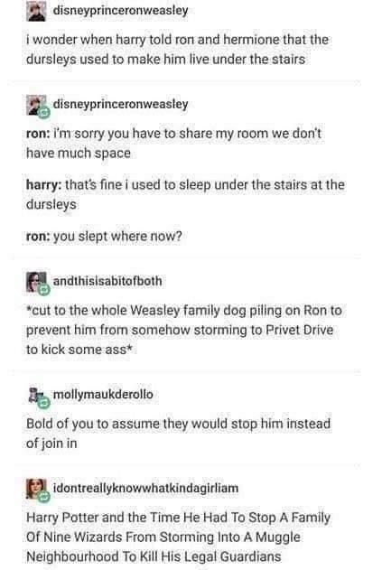 Hp Funny, Weasley Family, Maxon Schreave, Harry Potter Feels, Harry Potter Puns, Yer A Wizard Harry, Harry Potter Tumblr, Harry Potter Headcannons, Harry Pottah