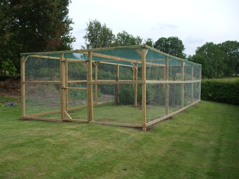 2.4m square walk in fruit cage £235 including delivery. Enclosed Orchard, Walk In Garden, Garden Enclosures, Garden Cage, Blueberry Garden, Fruit Cages, Garden Education, Blueberry Gardening, Greenhouses For Sale