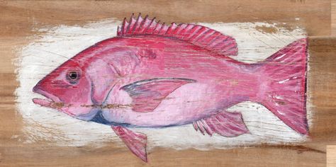 red snapper Fish Acrylic, Fish Pictures, Japanese Fish, Red Snapper, Fish Painting, Fish Print, Painting Ideas, Painting & Drawing, Watercolor Art