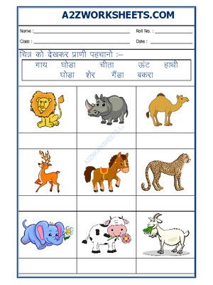 Worksheet of Hindi-Practice-sheet for Second-Grade Animals Name In Hindi Worksheet, Worksheet For Class 2, Alphabet Practice Worksheets, Animals Name, K Names, English Grammar For Kids, Grammar For Kids, Animal Names, Animal Worksheets