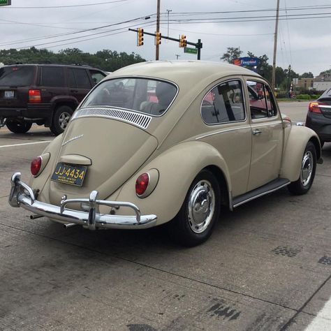 1967 Volkswagen Beetle @cambridge06 on Instagram #volkswagen #vw #volkswagenbeetle #vwbeetle #beetle #vwbug #1967 1967 Volkswagen Beetle, 1963 Volkswagen Beetle, 1964 Volkswagen Beetle, 1979 Volkswagen Beetle, Classic Volkswagen, Vw Beetle, Beatle Car Volkswagen Vintage, Volkswagen, Antique Cars