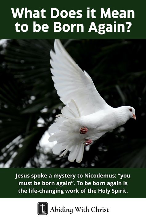 Jesus spoke a mystery to Nicodemus: “you must be born again”. To be born again is the life-changing work of the Holy Spirit. #Jesus #Christ #Bible #Christian You Must Be Born Again, Abide In Christ, Born Again Christian, Mean To Be, Born Again, Christian Prints, The Holy Spirit, It's Meant To Be, Love Languages