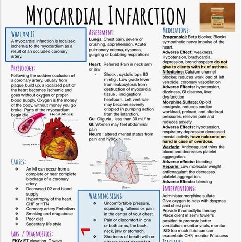 Pharmacy School Study, Nursing School Studying Cheat Sheets, Nursing Essentials, Nurse Things, Paramedic School, Nurse Study, Basic Anatomy, Nursing School Essential, Studying Tips