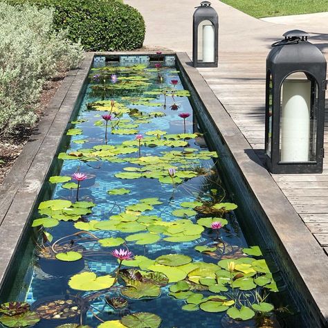 Diary of a Mad Renovator on Instagram: “The koi pond @fsoceanclub where lily pads and koi fish create the perfect atmosphere for meditating.  I wish I could recreate this instant…” Rectangle Koi Pond, Koi Fish Pond Indoor, Koi Pond Design, Fish Pond Gardens, Pond Garden, Indoor Water Garden, Koi Ponds, Water Lily Pond, Pond Water Features