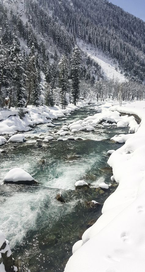 Winter In Kashmir, Pahalgam Kashmir In Winter, Indian Winter Aesthetic, Kashmir Itinerary, Kashmir In Winter, Kashmir Winter, Shimla Trip, Type Of Trees, Winter In India