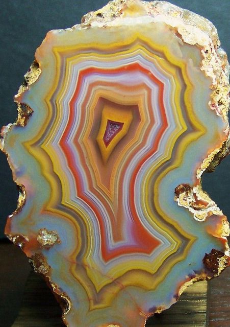 Condor Agate Geode Art, Geology Rocks, Pretty Rocks, Cool Rocks, Beautiful Rocks, Piece Of Art, Mineral Stone, Minerals And Gemstones, Rocks And Gems