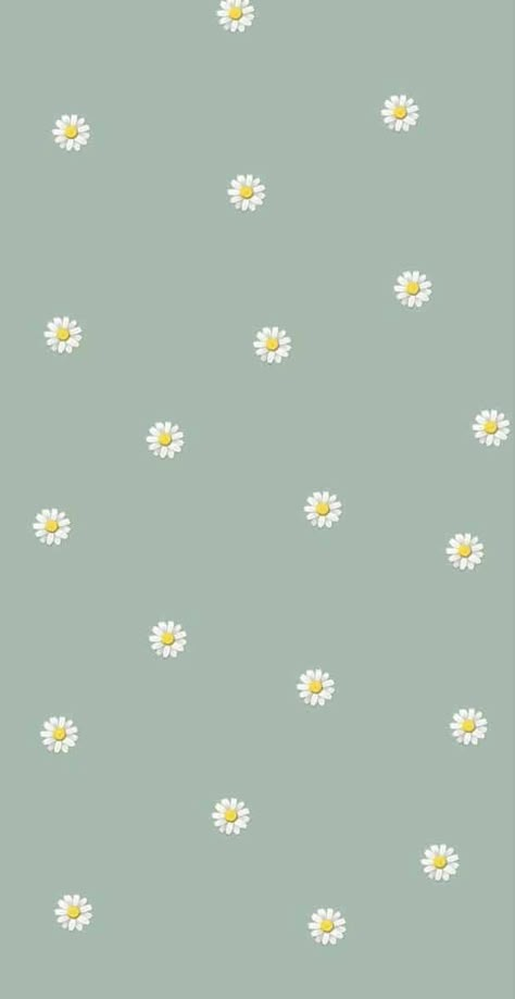 Cute Wallpapers For Ipad, Daisy Wallpaper, Iphone Wallpaper Sky, Simple Iphone Wallpaper, Iphone Wallpaper Pattern, Soft Wallpaper, Iphone Wallpaper Themes, Cute Simple Wallpapers, Preppy Wallpaper