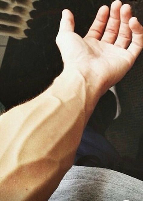 Pin by obi wap kenobi on Veiny hands and arms | Hand pictures, Hand veins, Daddy aesthetic Arm Veins, Veiny Arms, Veiny Hands, Hand Veins, Vein Health, Men Exercises, Tattoo Inspiration Men, Hand Exercises, Hand Drawing Reference