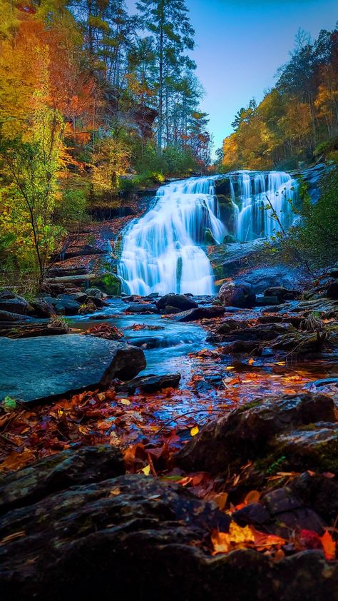 Bald River Falls, Tennessee Tennessee River, River Falls, Mississippi River, National Forest, Tennessee, Letting Go, Forest, Water, Photography