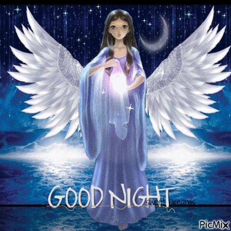 Good Night With Angels, Good Night Angels, Good Night Animated, Good Night Gifs, Angel Pic, Good Night Angel, Quotes Good Night, Animated Quotes, Night Angel