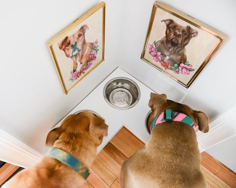 DIY Corner Pet Food Station - Yellow Brick Home Pet Food Station, Cat Food Station, Pet Bowl Stand, Dog Food Station, Pet Station, Pet Feeding Station, Dog Feeding Station, Diy Dog Food, Yellow Brick Home