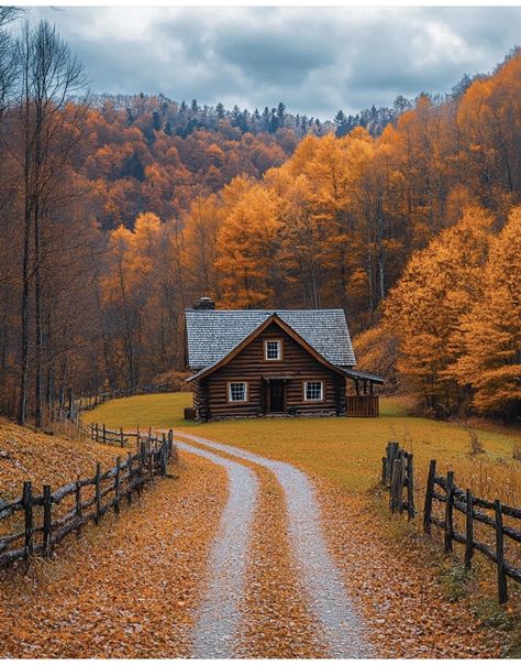 Cabin In Vermont, Cabin Core Aesthetic, Cabins In Texas, Tennessee Cabins, Rustic Cabins, Cabin Core, + Core + Aesthetic, Rustic Cabin, Fall Foliage