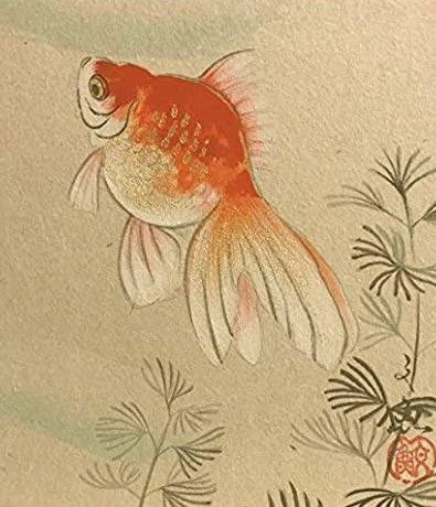 Golden Fish Illustration, Gold Fish Drawing, Goldfish Japanese, Dragon Koi Fish, Black Goldfish, Goldfish Tattoo, Asian Style Art, Japanese Fish, Golden Fish