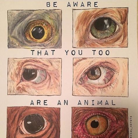 Animal Testing Art, Animal Cruelty Art, Vegan Activism, Easy Vegan Recipes, College Projects, Vegan Memes, Animal Activism, Animal Agriculture, Vegan Quotes