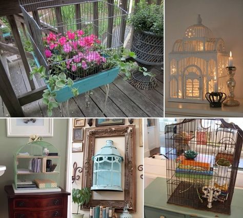 What To Do With An Old Birdcage? What To Do With Old Bird Cages, Whimsical Lamp, Birdcage Planter, Sitting Nook, Egg Display, Enchanted Cottage, The Birdcage, Plywood Board, String Of Lights